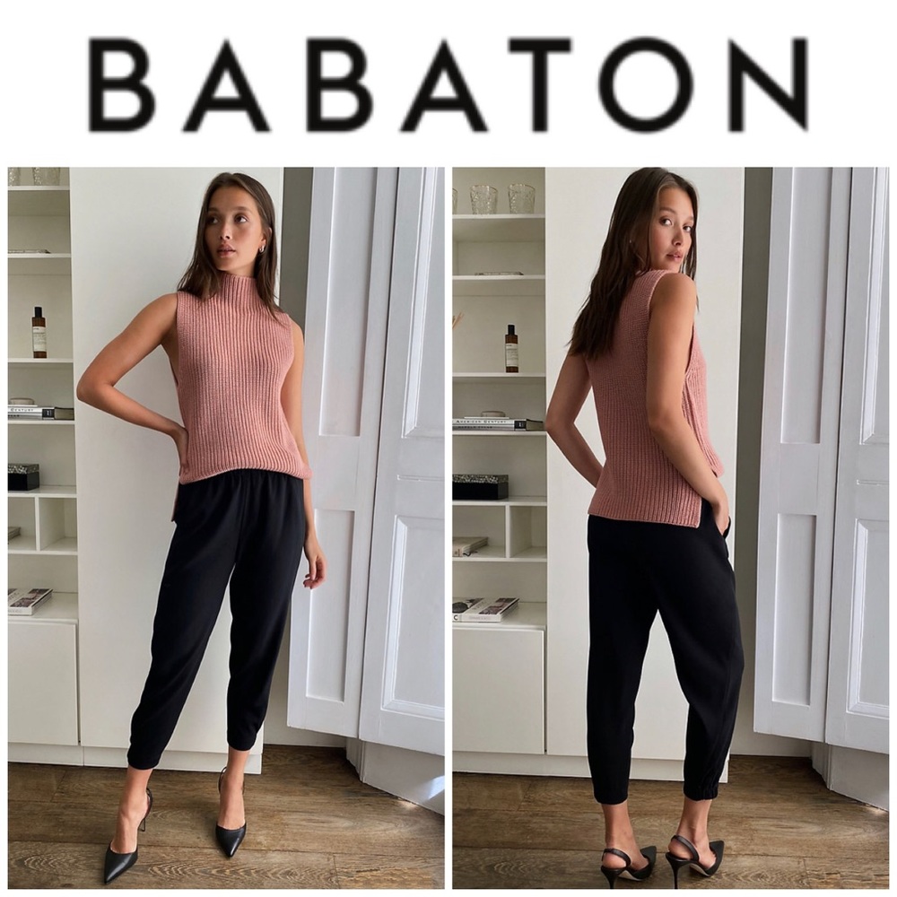 NWOT Babaton Dexter Pants in Black